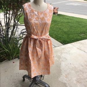 Ark & Co Salmon Peach Jacquard Ribbon mini Dress